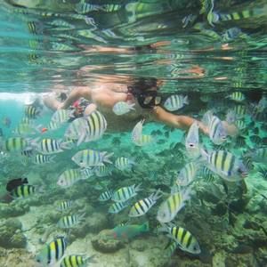 Meet your Posher, Francisco